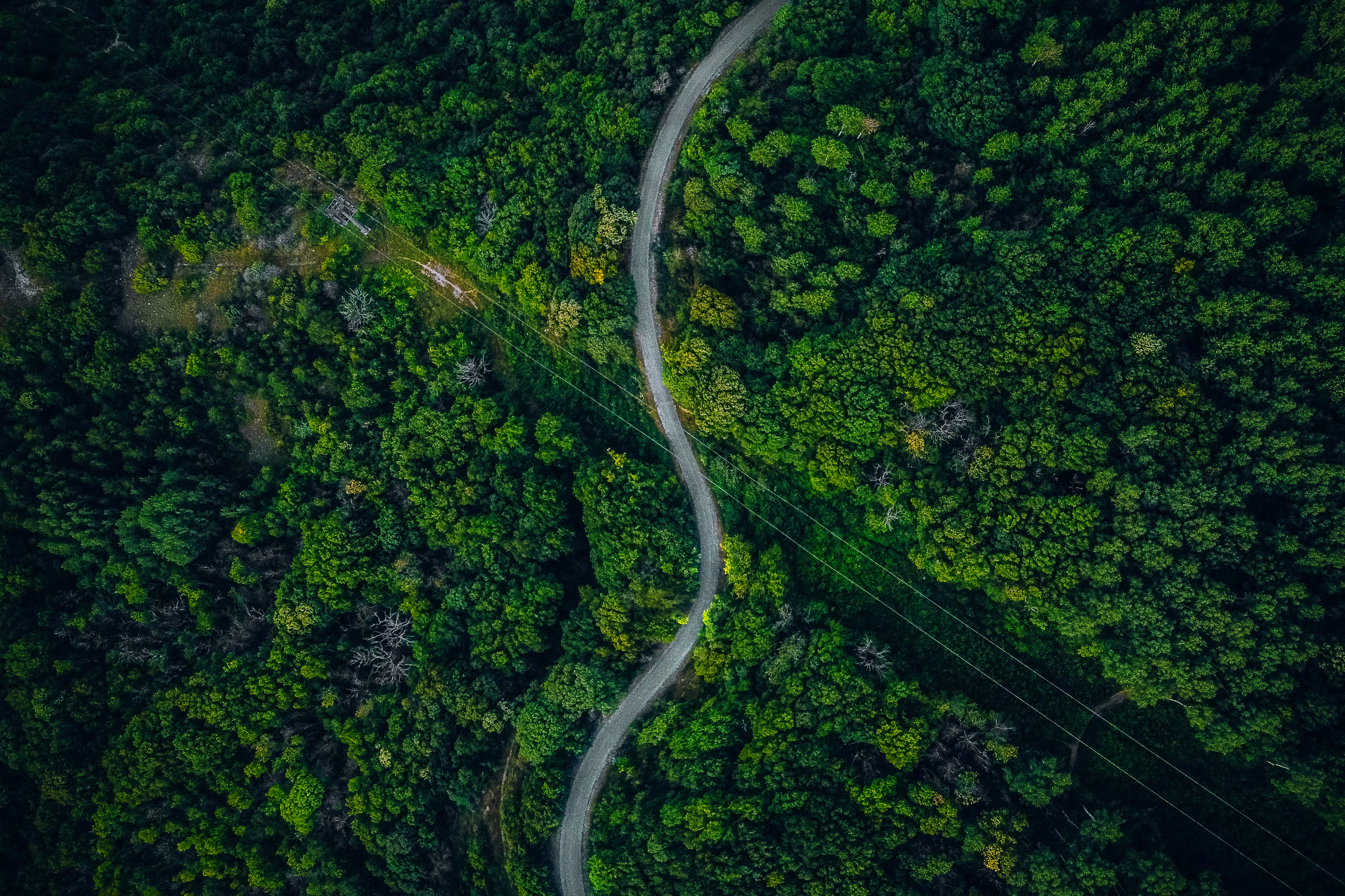 Vej Gennem Skovområde